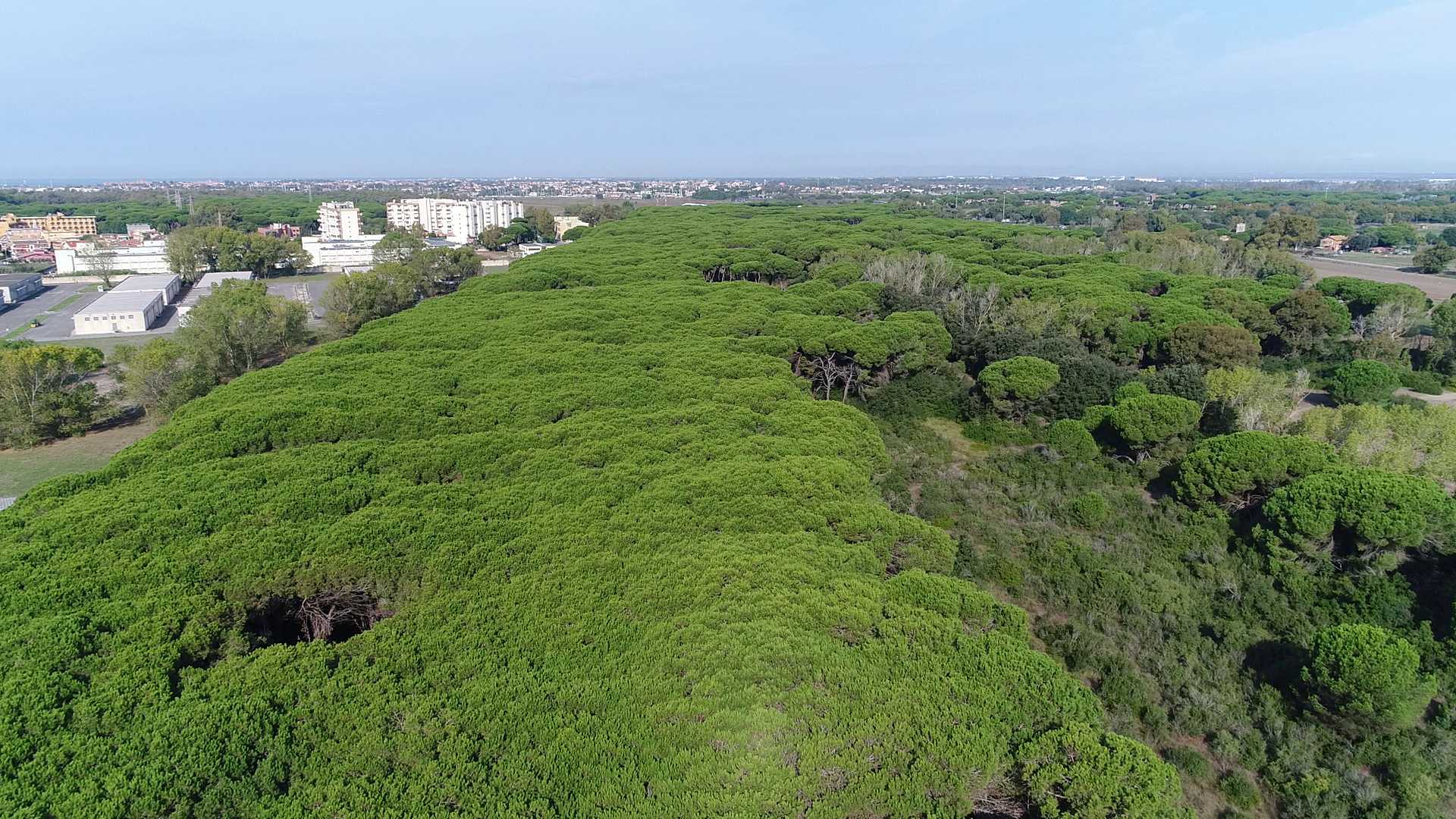 La tenuta di Procoio vista dal drone: tanta natura da difendere